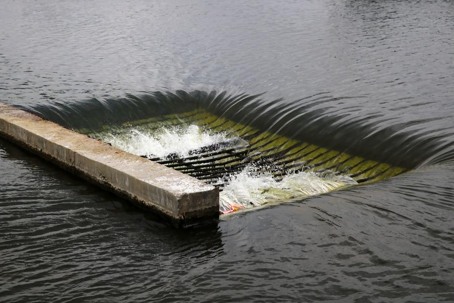 Professional drain installation and maintenance services for residential and commercial properties